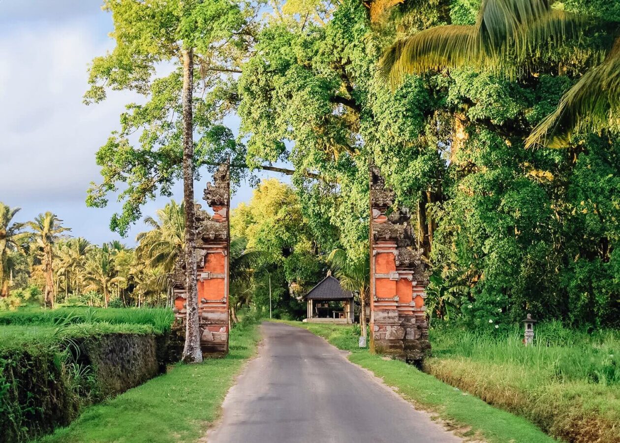 Scenic views and countryside routes passed during the Majestic VW Tours experience at Pertiwi Adventure Bali