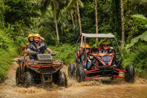 Comparison between ATV quad bike and UTV jungle buggy adventures in Bali at Pertiwi Adventure