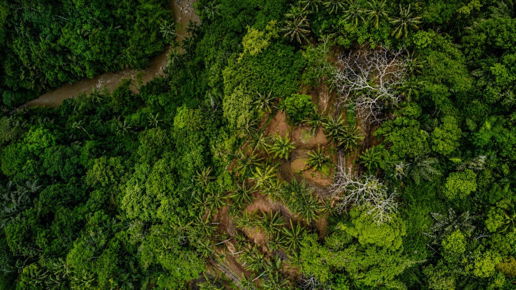 Drone aerial view of the UTV off-road track surrounded by tropical jungle and muddy adventure trails at Pertiwi Adventure
