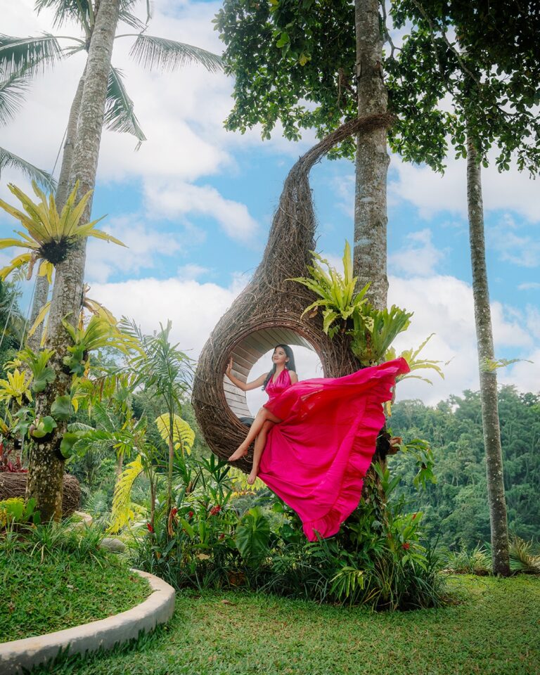 Pertiwi Jungle Swing
