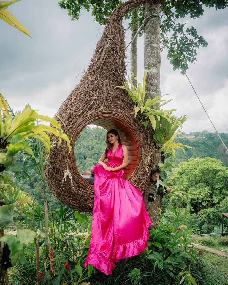 Pertiwi Jungle Swing