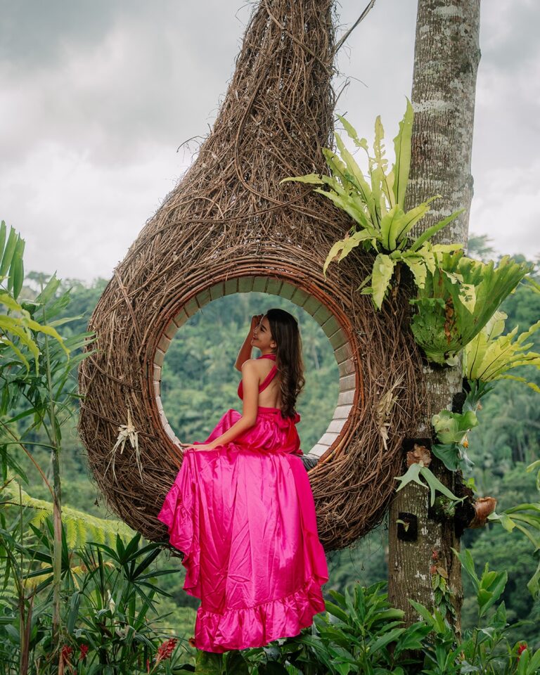 Pertiwi Jungle Swing