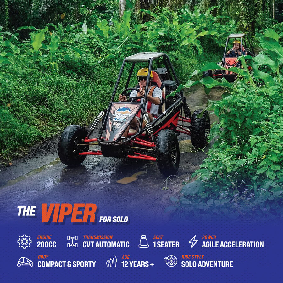 Pertiwi UTV Buggy Model - The Viper 200 for Solo Rider