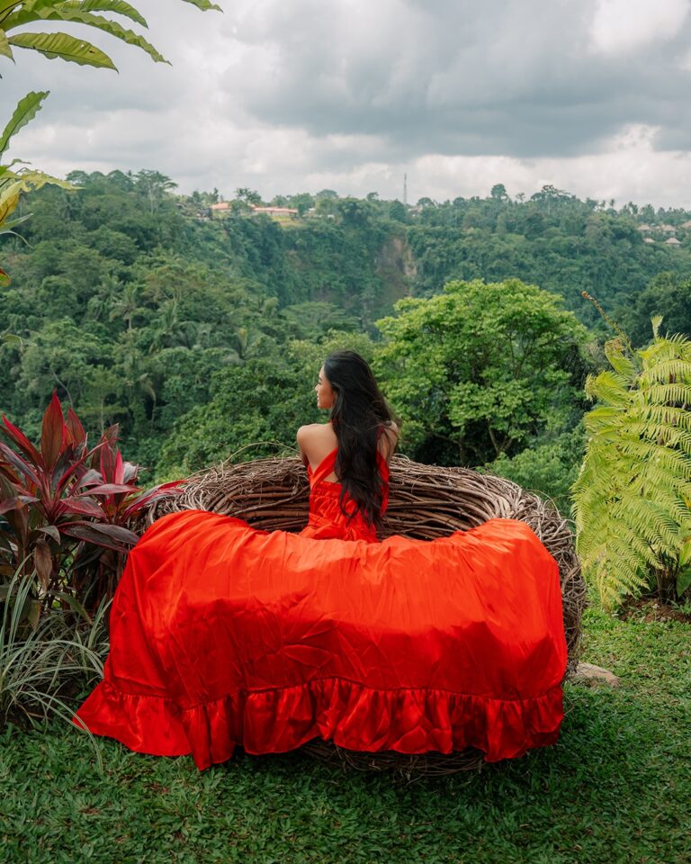 Pertiwi Jungle Swing