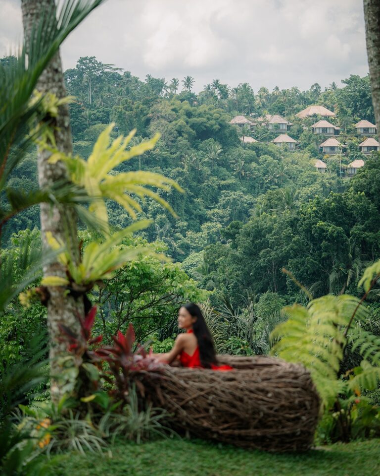 Pertiwi Jungle Swing