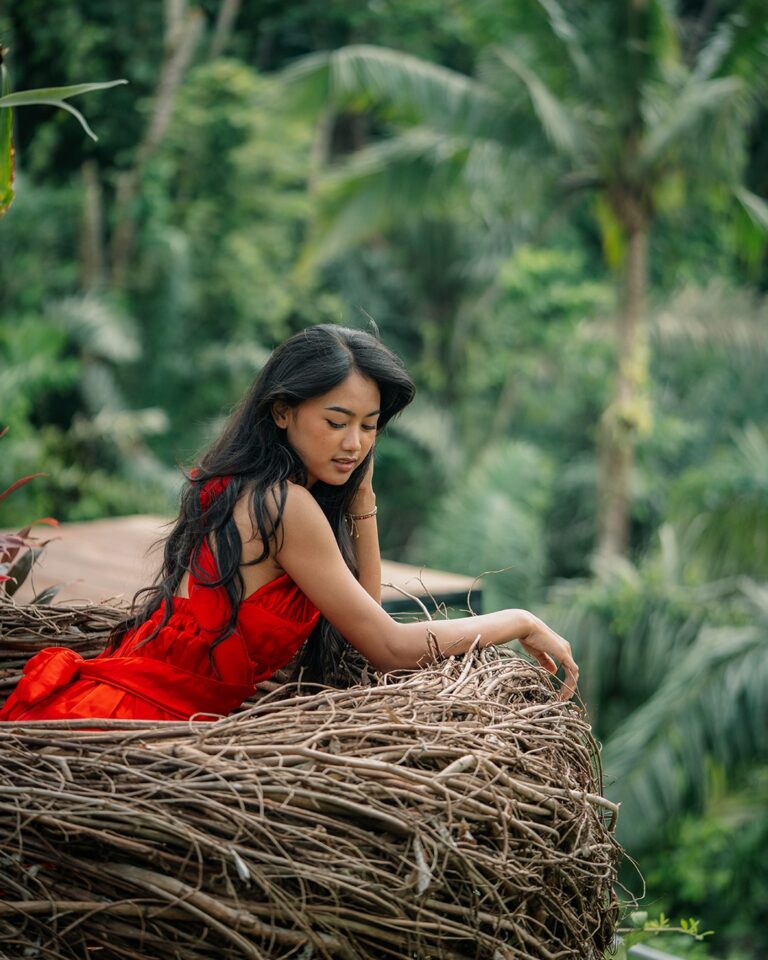 Pertiwi Jungle Swing