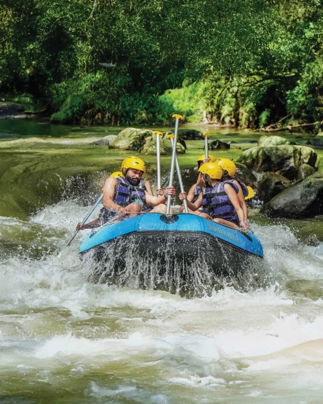 Smooth rapids, happy faces, and easy fun. White water rafting on the Ayung River is a friendly adventure—perfect for beginners, families, and anyone who wants to enjoy Bali with a smile. Safe, fun, and unforgettable.