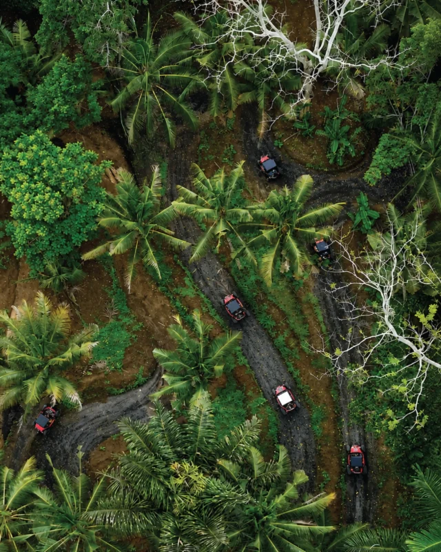Tandem or Solo? Same jungle. Same private track. Two completely different adventures. Ride tandem and enjoy the journey together Or take the wheel solo and enjoy full control No strict slot times. Just arrive, ride, and have fun at your own pace So... which one would you choose?